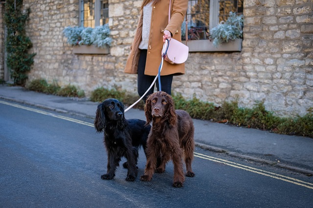 Teddy maximus top dog carrier